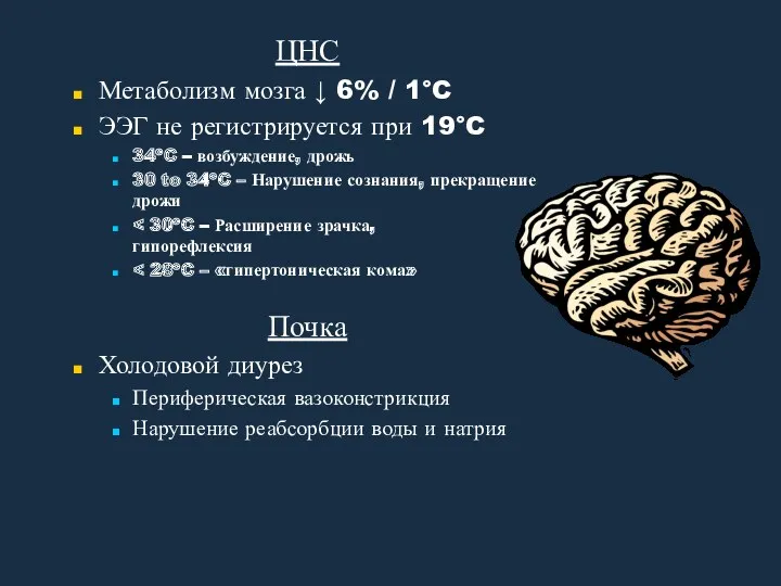 ЦНС Метаболизм мозга ↓ 6% / 1°C ЭЭГ не регистрируется