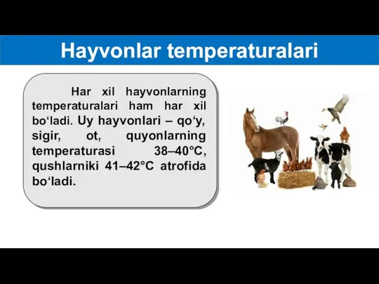 Hayvonlar temperaturalari