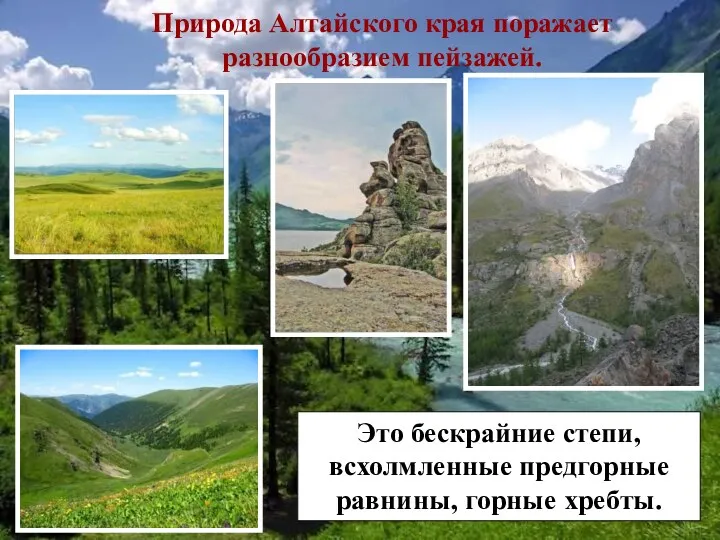 Природа Алтайского края поражает разнообразием пейзажей. Это бескрайние степи, всхолмленные предгорные равнины, горные хребты.