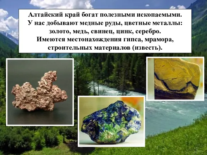 Алтайский край богат полезными ископаемыми. У нас добывают медные руды,