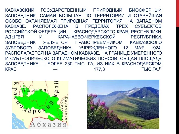 КАВКАЗСКИЙ ГОСУДАРСТВЕННЫЙ ПРИРОДНЫЙ БИОСФЕРНЫЙ ЗАПОВЕДНИК. САМАЯ БОЛЬШАЯ ПО ТЕРРИТОРИИ И