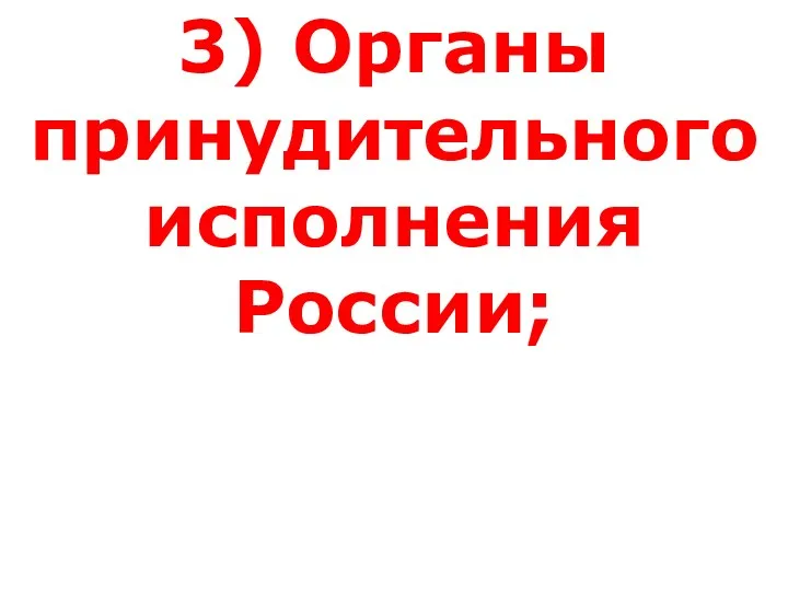 3) Органы принудительного исполнения России;