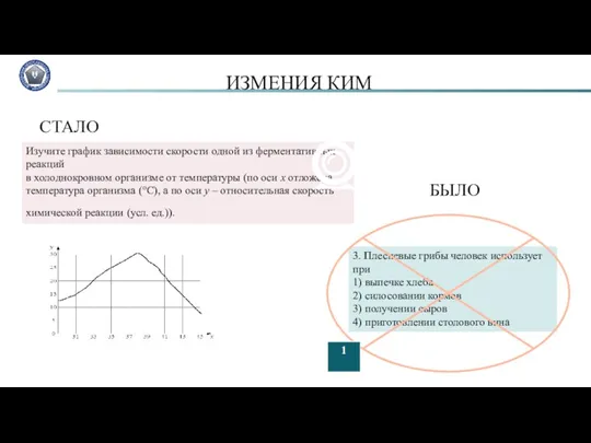 3. Плесневые грибы человек использует при 1) выпечке хлеба 2)