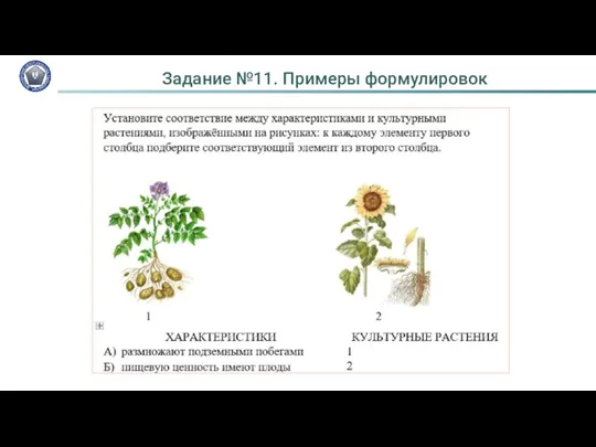 Задание №11. Примеры формулировок