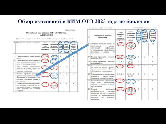 Обзор изменений в КИМ ОГЭ 2023 года по биологии