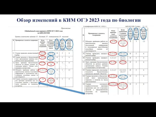 Обзор изменений в КИМ ОГЭ 2023 года по биологии