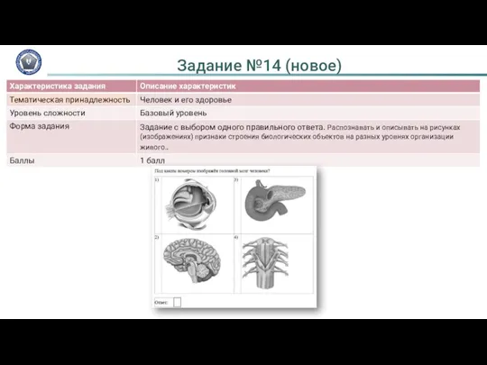 Задание №14 (новое)