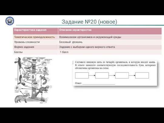 Задание №20 (новое)