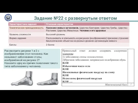 Рассмотрите рисунки 1 и 2 с изображениями стоп человека. Как