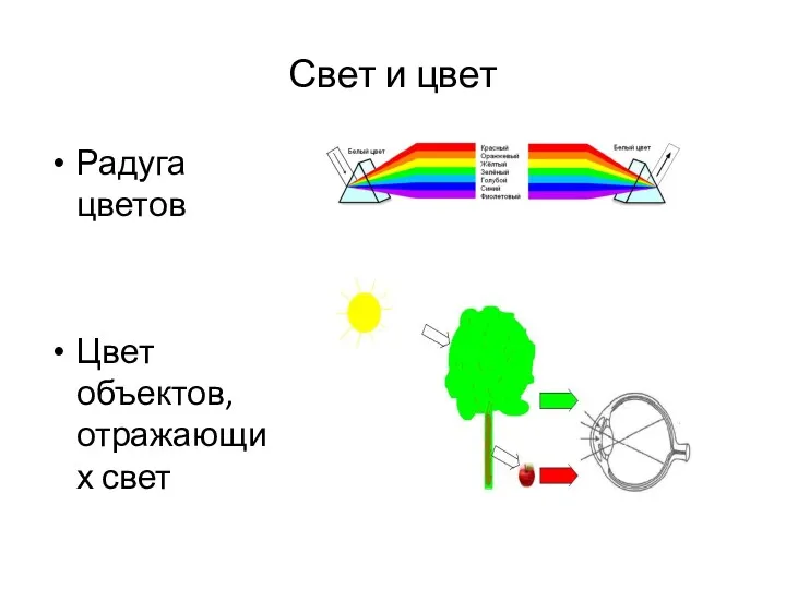 Свет и цвет Радуга цветов Цвет объектов, отражающих свет