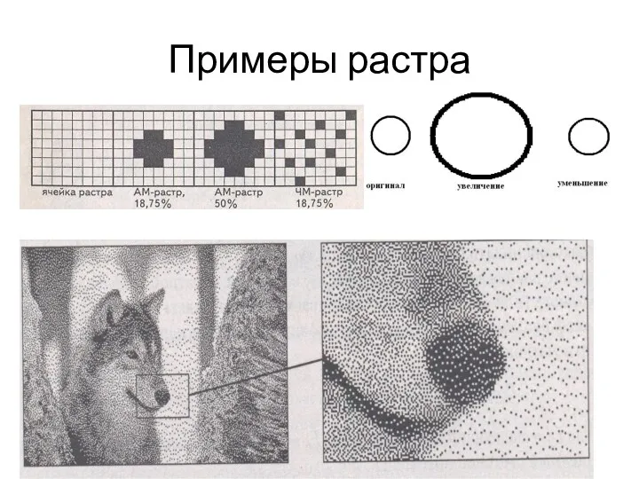 Примеры растра