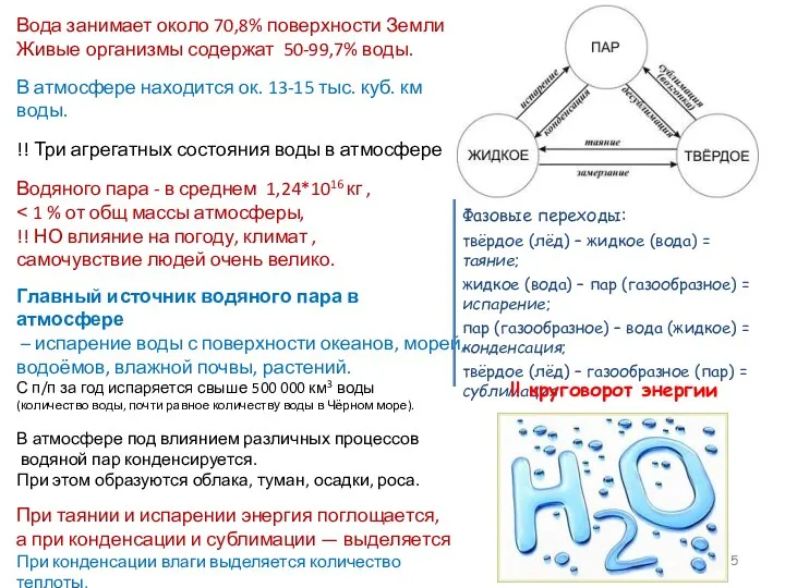 Вода занимает около 70,8% поверхности Земли Живые организмы содержат 50-99,7%