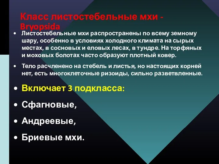 Класс листостебельные мхи - Bryopsida Листостебельные мхи распространены по всему