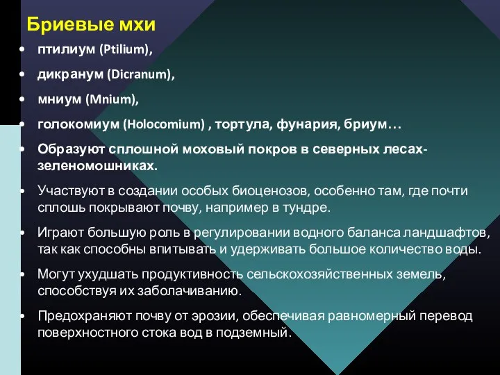 Бриевые мхи птилиум (Ptilium), дикранум (Dicranum), мниум (Mnium), голокомиум (Holocomium)