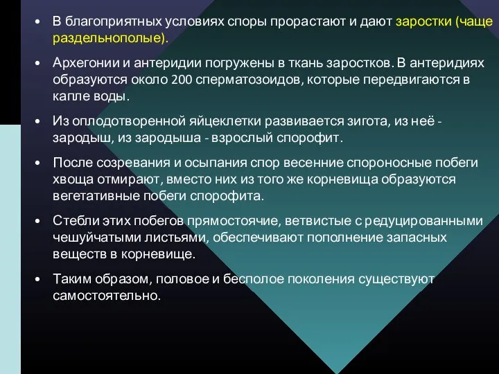 В благоприятных условиях споры прорастают и дают заростки (чаще раздельнополые).