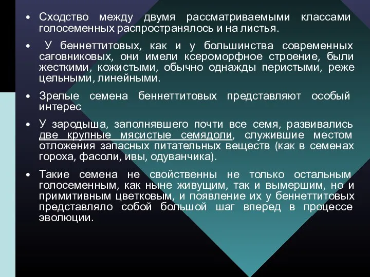 Сходство между двумя рассматриваемыми классами голосеменных распространялось и на листья.