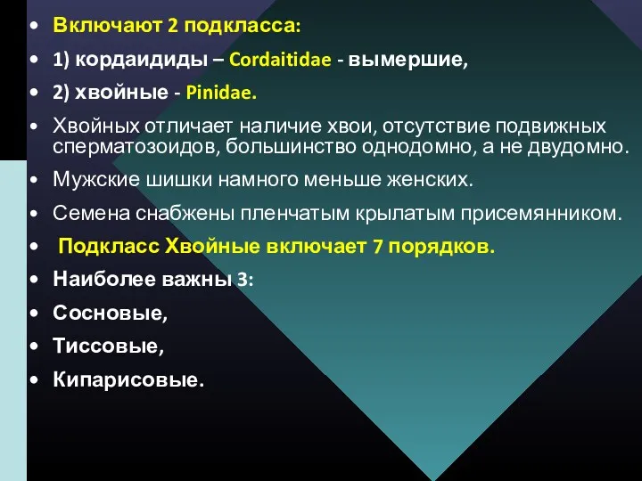 Включают 2 подкласса: 1) кордаидиды – Cordaitidae - вымершие, 2)