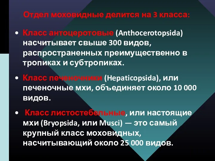 Отдел моховидные делится на 3 класса: Класс антоцеротовые (Anthocerotopsida) насчитывает