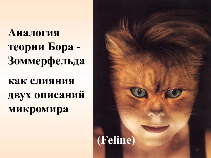 Аналогия теории Бора - Зоммерфельда как слияния двух описаний микромира (Feline)