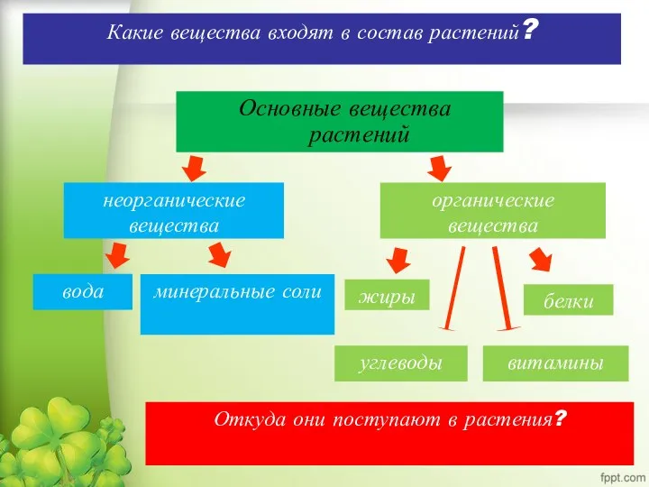 Основные вещества растений неорганические вещества вода минеральные соли органические вещества