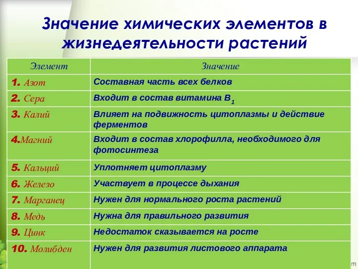 Значение химических элементов в жизнедеятельности растений