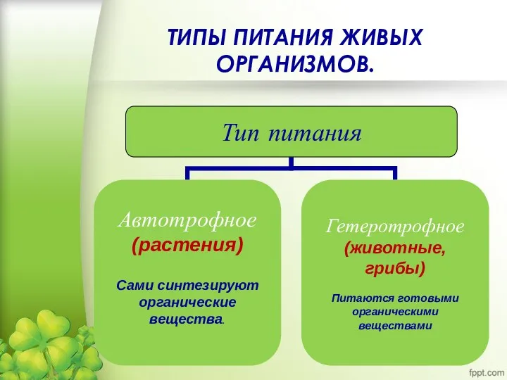 ТИПЫ ПИТАНИЯ ЖИВЫХ ОРГАНИЗМОВ.