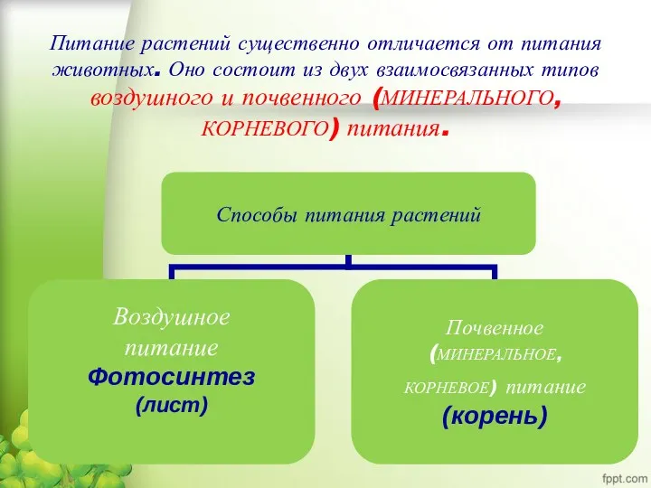 Питание растений существенно отличается от питания животных. Оно состоит из