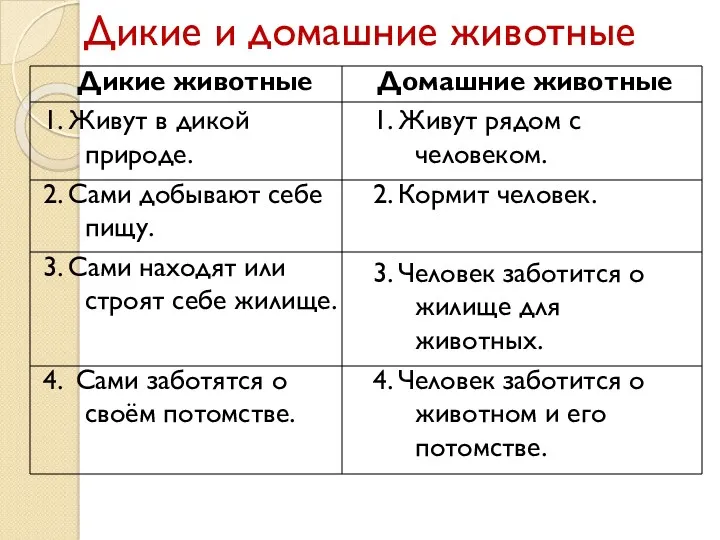 Дикие и домашние животные Дикие животные 1. Живут в дикой