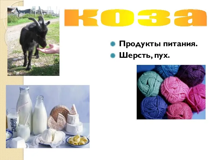 Продукты питания. Шерсть, пух. коза