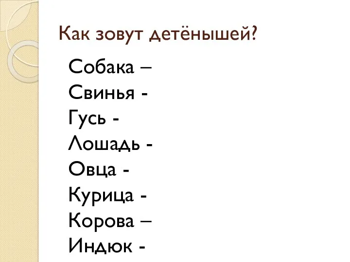 Как зовут детёнышей? Собака – Свинья - Гусь - Лошадь