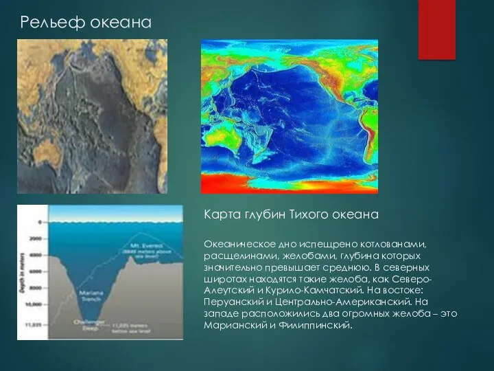 Рельеф океана Карта глубин Тихого океана Океаническое дно испещрено котлованами,