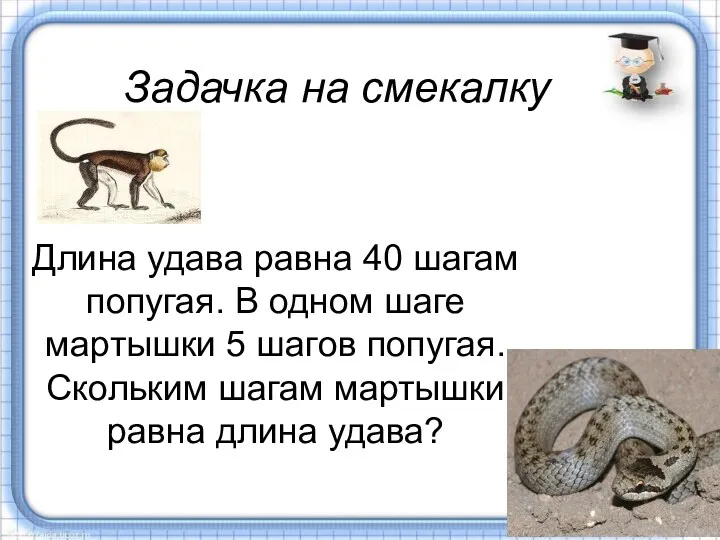 Задачка на смекалку Длина удава равна 40 шагам попугая. В