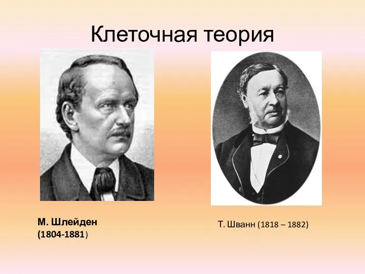 Клеточная теория М. Шлейден (1804-1881) Т. Шванн (1818 – 1882)