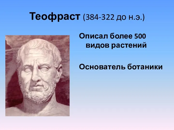 Теофраст (384-322 до н.э.) Описал более 500 видов растений Основатель ботаники