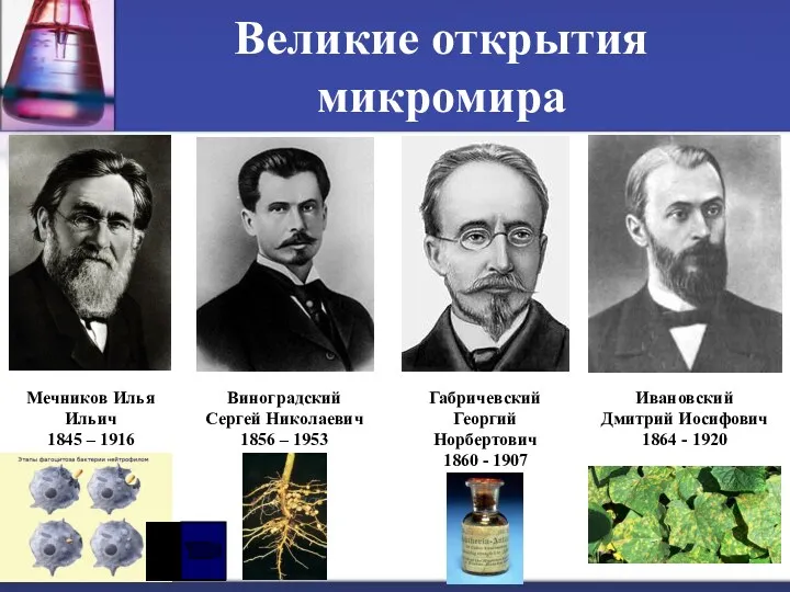 Великие открытия микромира Мечников Илья Ильич 1845 – 1916 Виноградский
