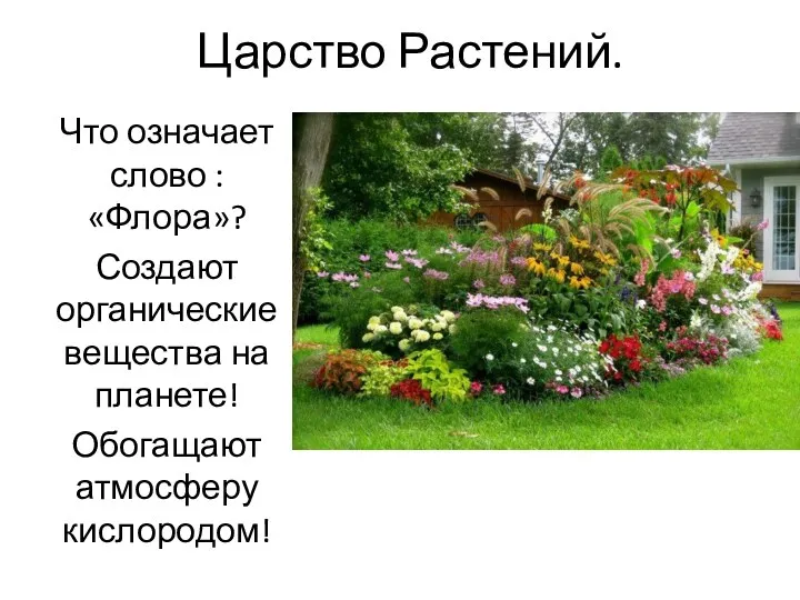 Царство Растений. Что означает слово : «Флора»? Создают органические вещества на планете! Обогащают атмосферу кислородом!