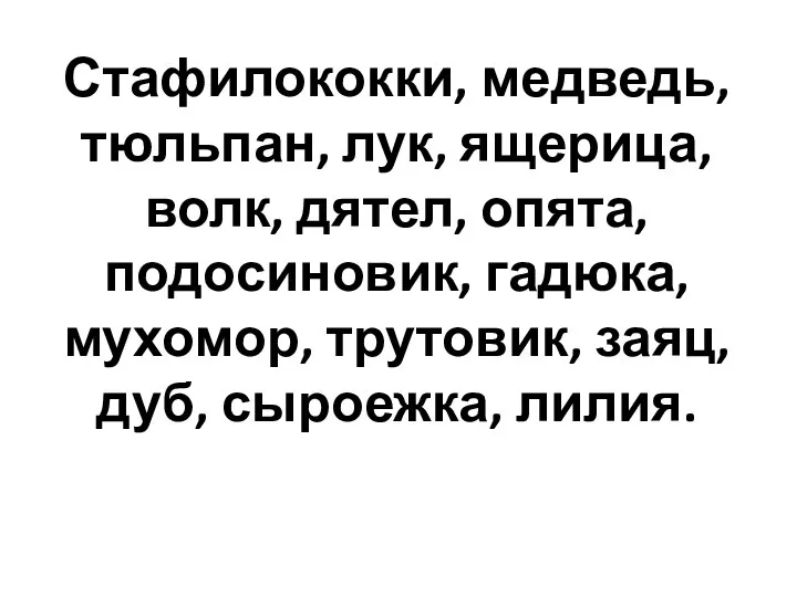 Стафилококки, медведь, тюльпан, лук, ящерица, волк, дятел, опята, подосиновик, гадюка, мухомор, трутовик, заяц, дуб, сыроежка, лилия.