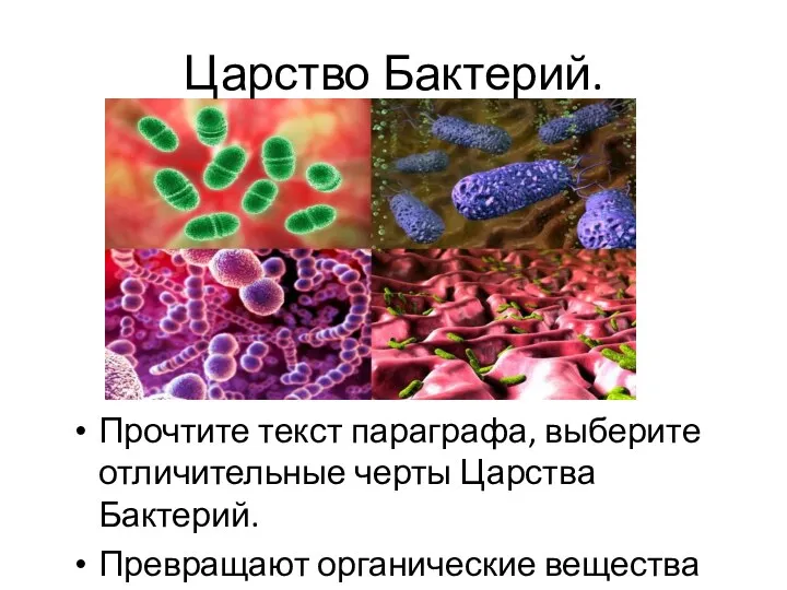 Царство Бактерий. Прочтите текст параграфа, выберите отличительные черты Царства Бактерий. Превращают органические вещества в неорганические.