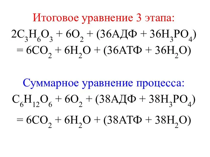 Итоговое уравнение 3 этапа: 2C3H6O3 + 6О2 + (36АДФ +