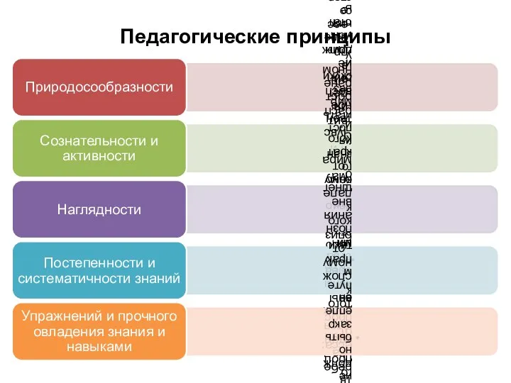 Педагогические принципы