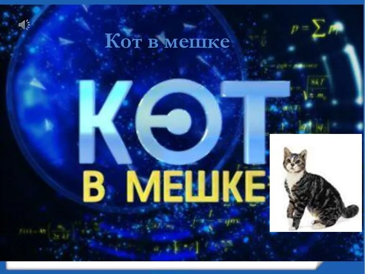 Кот в мешке