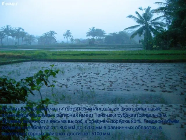 Климат на большей части территории Индонезии экваториальный, влажный, в отдельных регионах имеет признаки
