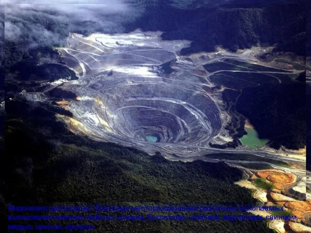 Индонезия располагает богатыми месторождениями различных ископаемых: высококачественной нефтью, оловом, бокситами, никелем, марганцем, свинцом, медью, цинком, хромом.