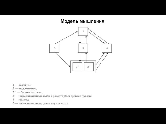 Модель мышления 1 — сознание; 2 /— подсознание; 2 //