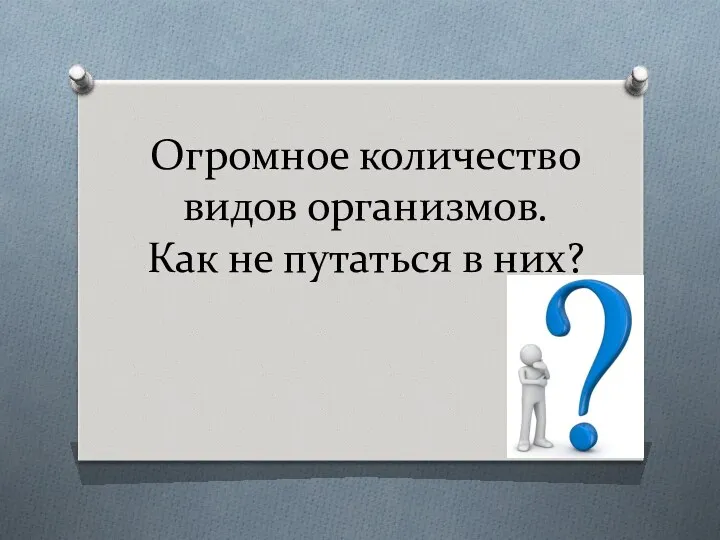 Огромное количество видов организмов. Как не путаться в них?