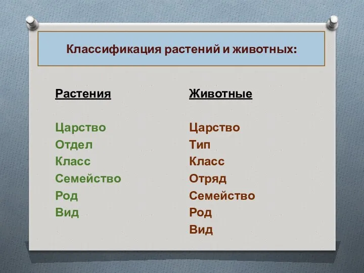 Растения Царство Отдел Класс Семейство Род Вид Животные Царство Тип