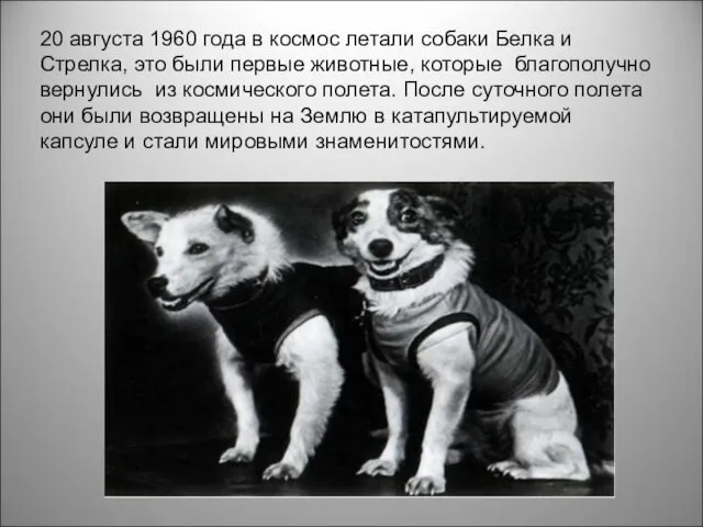 20 августа 1960 года в космос летали собаки Белка и Стрелка, это были