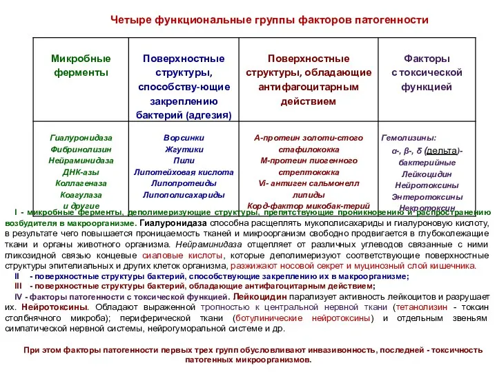 Четыре функциональные группы факторов патогенности I - микробные ферменты, деполимеризующие