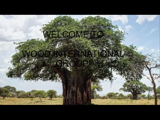 Welcome to Wood international group!