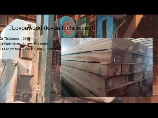 Lovoawood (lovoa trichilioides): Thickness 100+5 mm Width from 150 mm